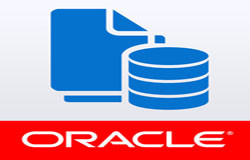 Oracle数据库管理工具有哪些?-北京开云线上平台公司