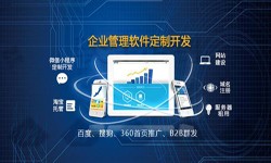 Erp开云线上平台的发展现状-北京开云线上平台公司开云线上平台