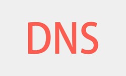 北京开云线上平台、DNS的基本概念、北京开云线上平台开云线上平台