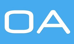 软件外包公司、OA系统开发功能有哪些？费用是多少-开云线上平台公司[北京开云线上平台]