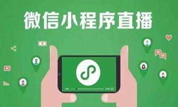 微信小程序开发、直播小程序开发-开云线上平台开云线上平台公司 