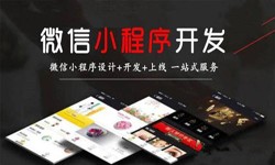 开云线上平台公司、定制微信小程序开发，商家需要了解哪些？开云线上平台开云线上平台
