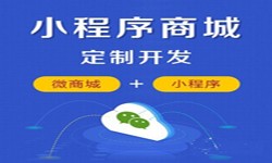 微信小程序开发、商城小程序开发功能-开云线上平台开云线上平台