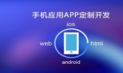 APP开发市场上常见问题分析-北京开云线上平台公司